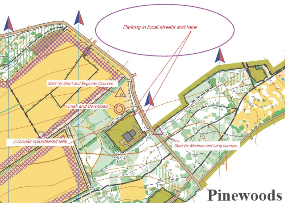 Pinewoods Layout Detail