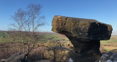 Brimham Rocks Middle Distance Regional Event Sunday 8th February 2026