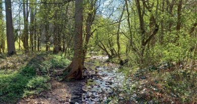 Harlow Hill Regional Event Results