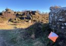 Brimham Rocks Middle Distance Event, Sun 8th Feb